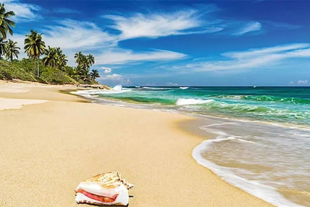 Villa Palmas Doradas Cabarete Dominican Republic